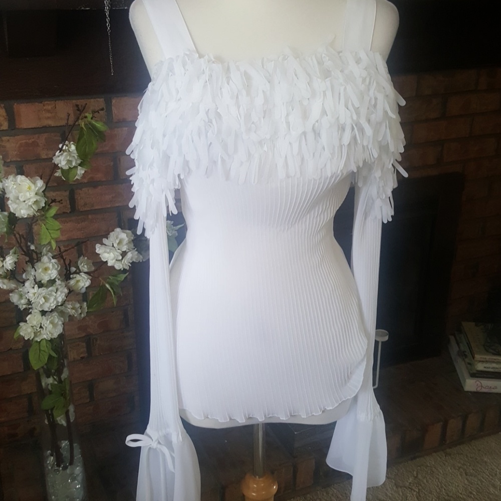 Plus ashley stewart unique ruffle top